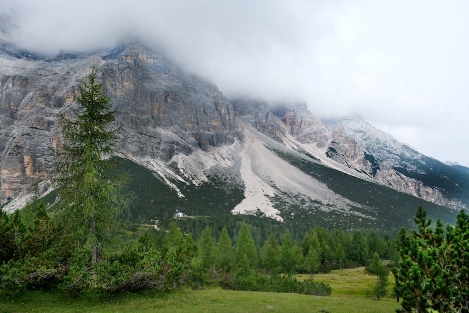 Vue sommet Pyrénées au lever du jour